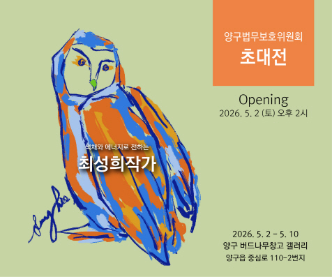 양구 버드나무 예술창고 최성희 작가 초대전