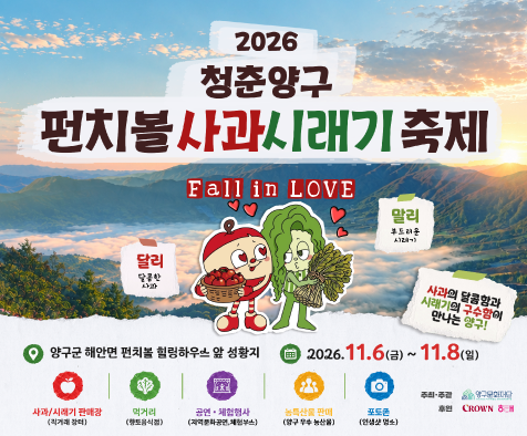 2026 청춘양구 펀치볼 사과시래기축제 군청 홈페이지 웹배너