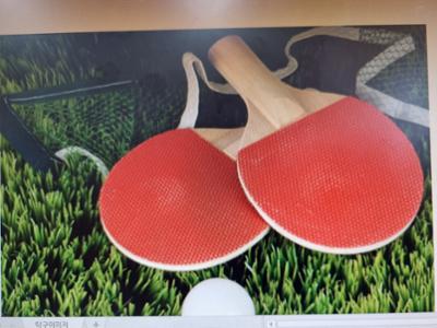 겨울방학탁구교실